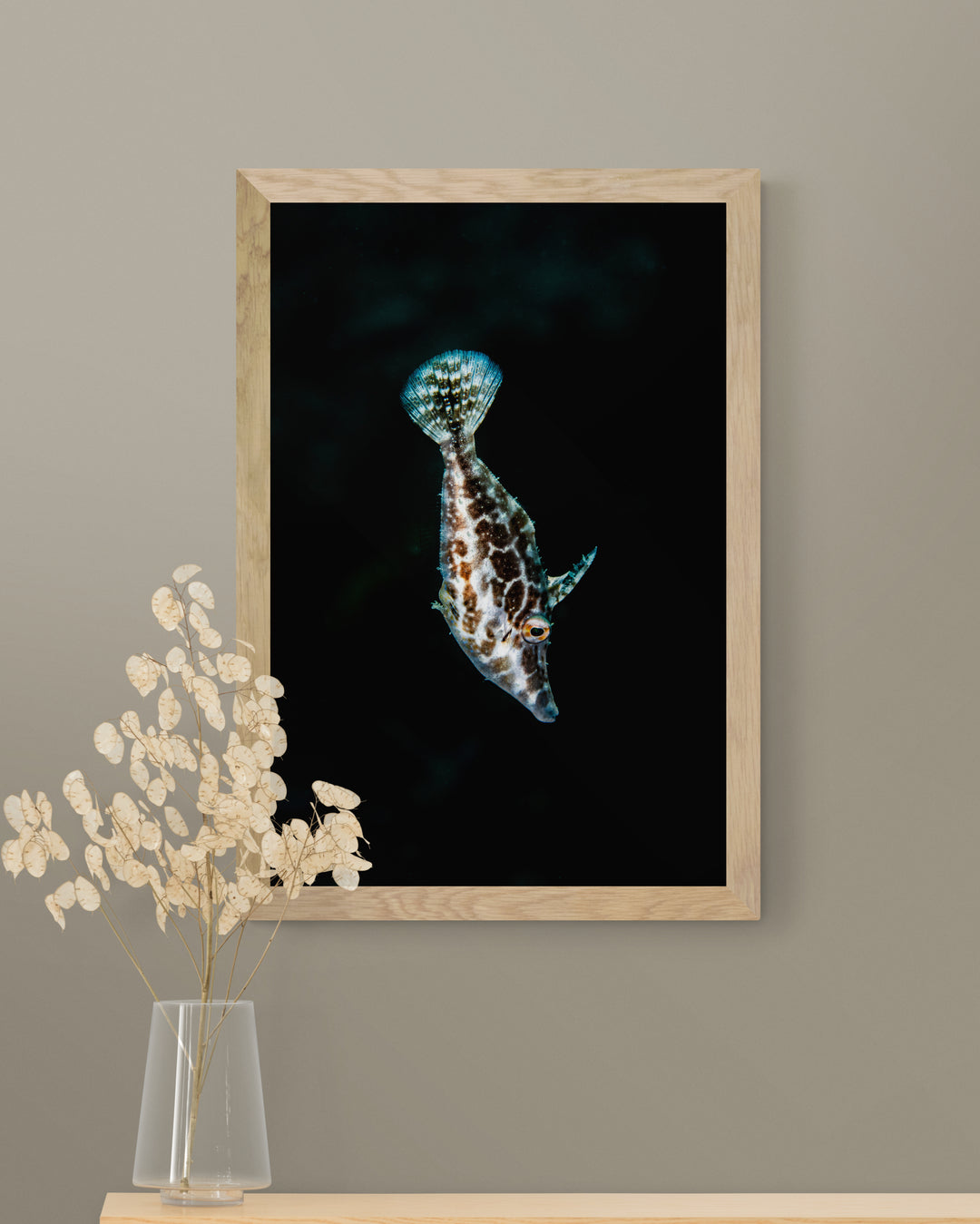 Slender Filefish